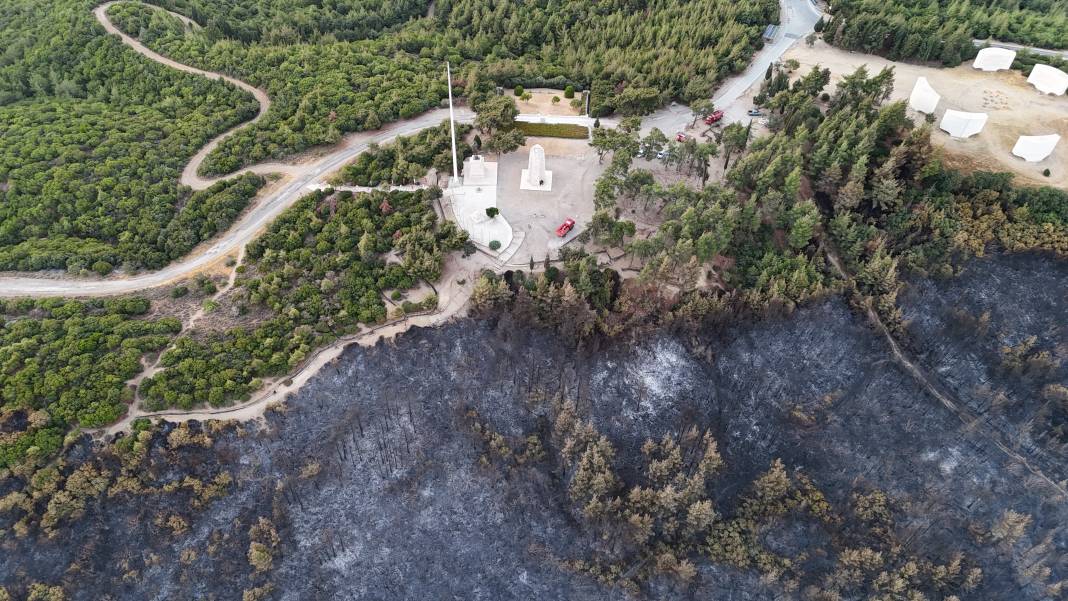 Tarihi Gelibolu Yarımadası'ndaki orman yangını kontrol altına alındı 1